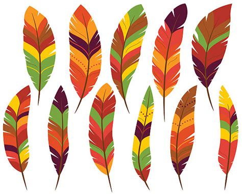 turkey feather clipart 10 free Cliparts | Download images on Clipground ...