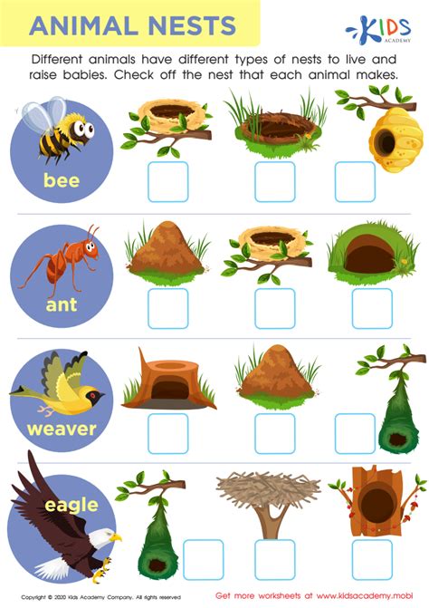 1st Grade Plant and Animal Worksheets