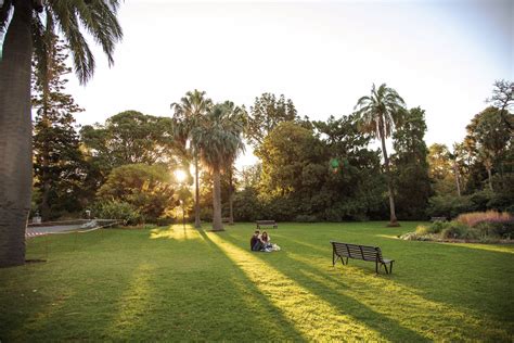 Royal Botanic Gardens Melbourne - Oasis of Green