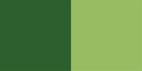 26 best color combinations for your next design | Webflow Blog