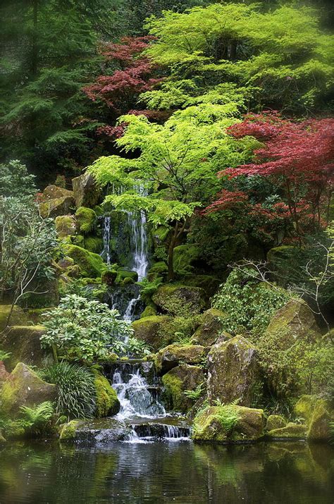 Japanese Garden Waterfall Photograph by Julie Cowin