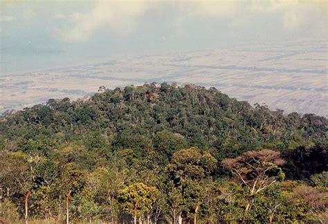 Gunung Jerai - Rainforest Journal