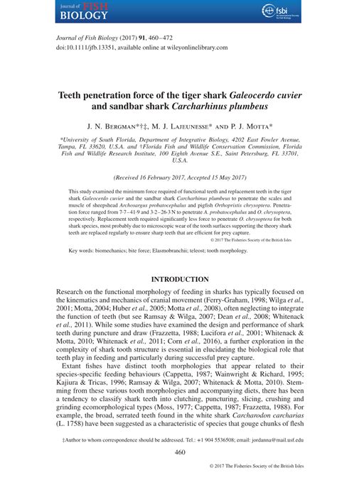 Teeth Penetration Force of the Tiger Shark Galeocerdo Cuvier and Sandbar Shark Carcharhinus ...