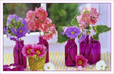 Table Of Flower Pots