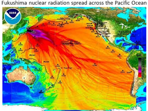 Radiation From Fukushima Detected off Canada's Coast - Malibu, CA Patch