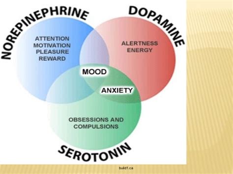 Antidepressants & side effects + serotonin syndrome vs