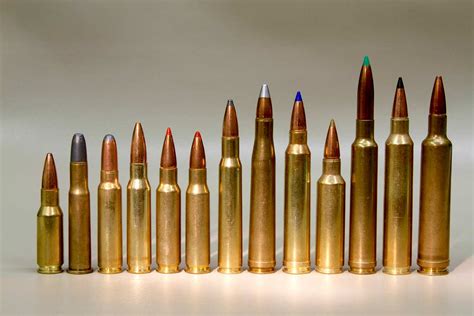 Understanding Bullet Calibers - sample