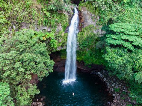 Hiking the Tavoro Waterfall Trail on Taveuni, Fiji - Chantae Was Here