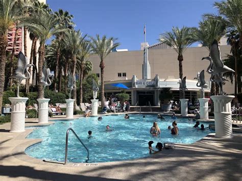 Flamingo Pool: Go Pool & Beach Club One of the Best Pools in Las Vegas ...