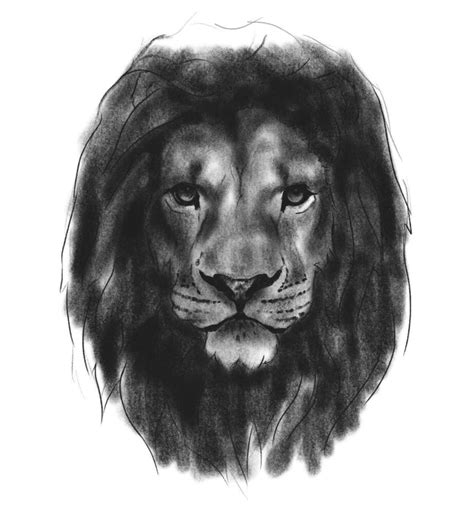 How To Draw A Realistic Lion Face