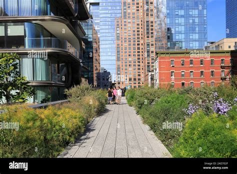 High Line Park, Manhattan, New York City, New York, United States of America Stock Photo - Alamy