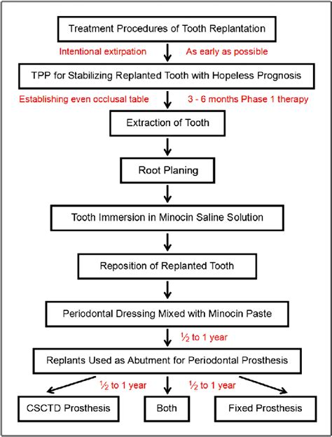 Flow chart of replantation procedures. Therapeutic provisional... | Download Scientific Diagram