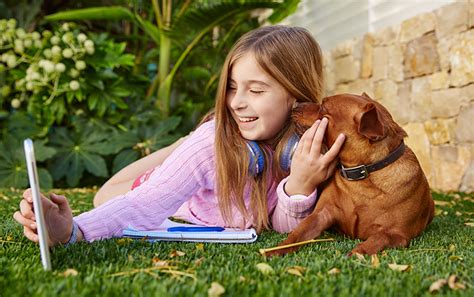 Pet-Friendly Turf from System Pavers