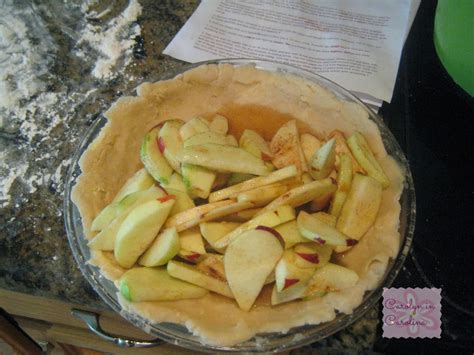 Carolyn in Carolina: Classic Apple Pie Recipe