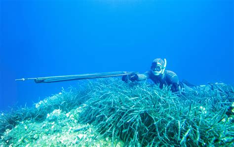 9 Best Spearguns for Spearfishing 2024 - Fishmasters.com