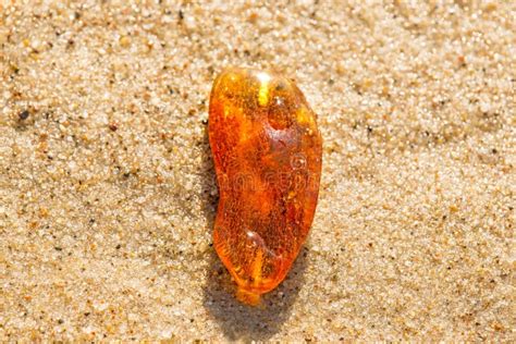 Amber on a Beach of the Baltic Sea Stock Image - Image of resin ...