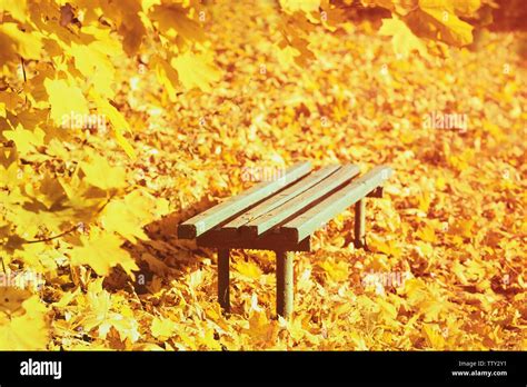 Wooden bench at autumn park Stock Photo - Alamy