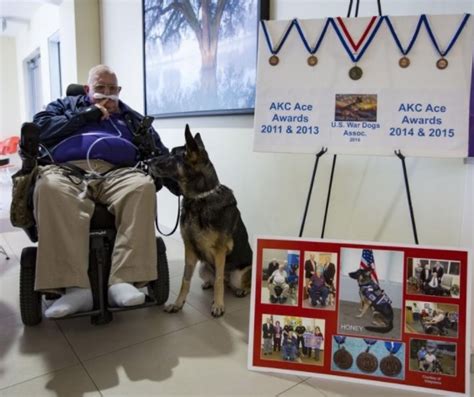 Wounded Times: Vietnam Veteran and PTSD Service Dog Bonded and Dying