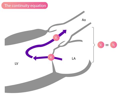 The Continuity Equation (The Principle of Continuity) – Cardiovascular Education