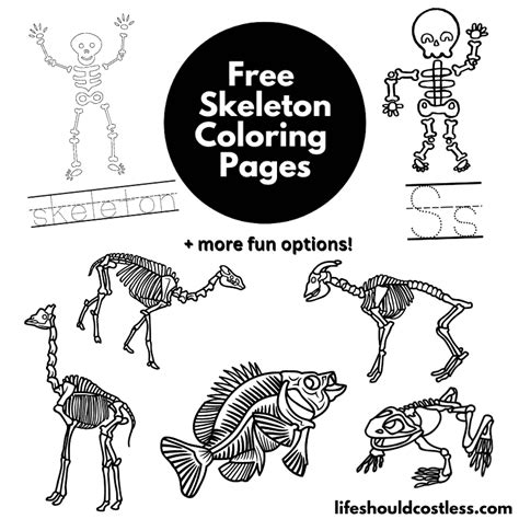 Skeleton Coloring Pages (free printable PDF templates) - Life Should Cost Less