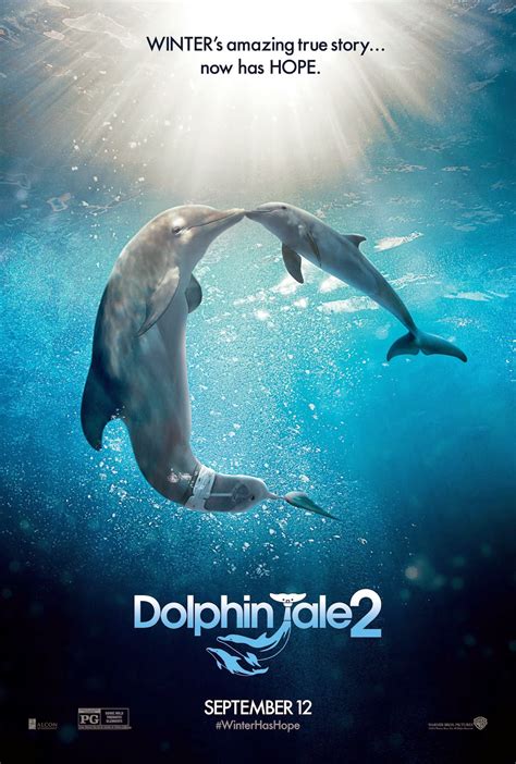 New Trailer and Poster for DOLPHIN TALE 2 Starring Ashley Judd and Morgan Freeman | The ...