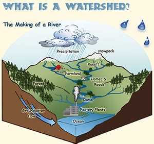 What is a Watershed? | SCDHEC