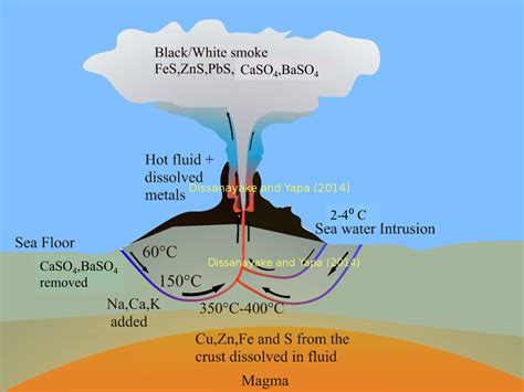 hydrothermal vent model