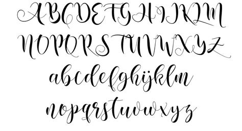 Nicole Script font by OldStudioo - FontRiver