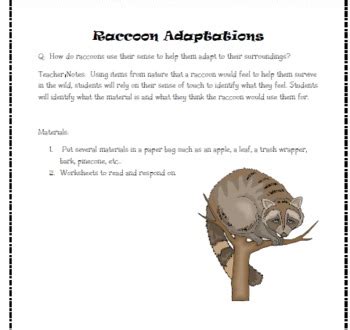 Raccoon Adaptations - Sense of Touch by Science Gal | TpT