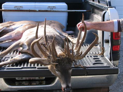 Record Buck Shot In Lycoming County – Pennsylvania: Hunt. Fish. Shoot.