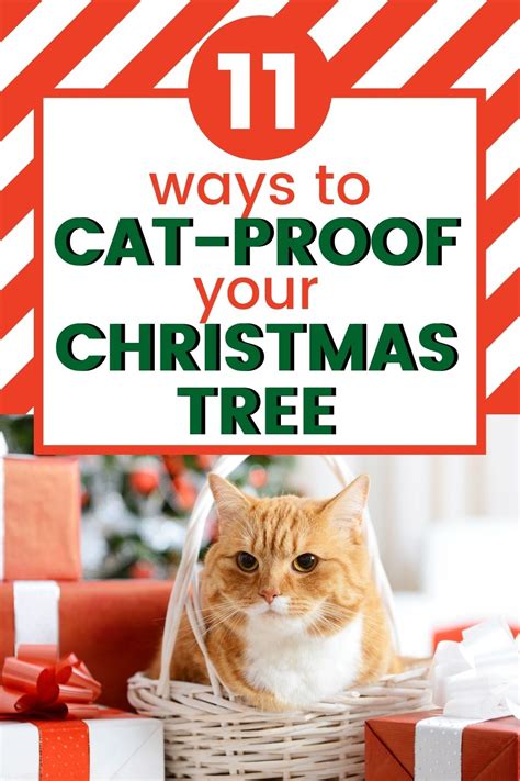 Surefire Ways to Cat-Proof Your Christmas Tree - Your Purrfect Kitty