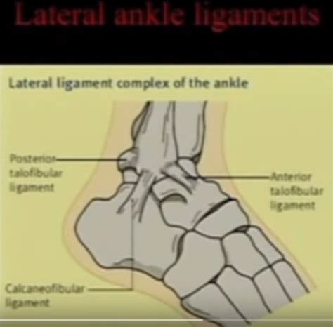 Chronic #Ankle Instability — OrthopaedicPrinciples.com