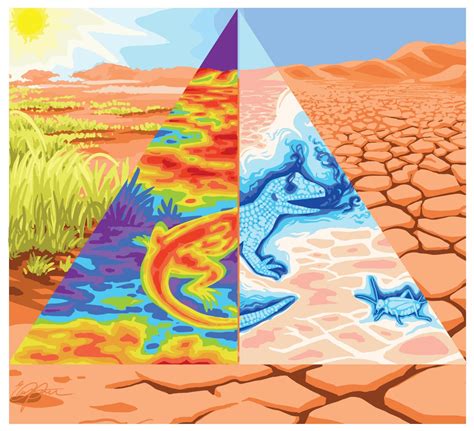 Microclimate Models - NicheMapR