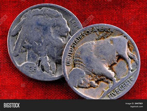 Buffalo Nickel Image & Photo (Free Trial) | Bigstock