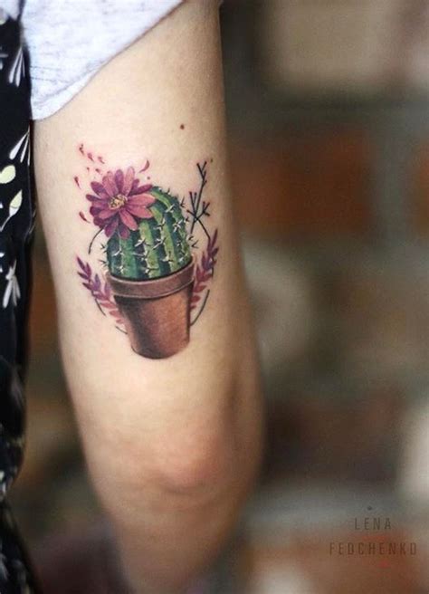 Colorful cactus in a flowerpot - Tattoogrid.net