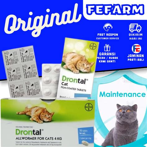 Drontal CAT Original Original Original CAT Worm Medicine For Children ...