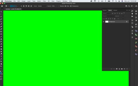 Solved: Unoperable Photoshop Error - Bright Green Screen - Adobe ...