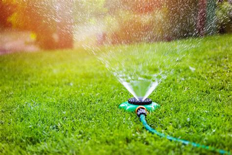 8 Best Sprinklers for Small Lawns & Gardens - Peak Yard