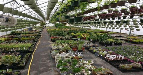 Found a new favorite plant nursery! : gardening