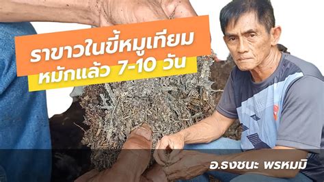 ราขาวในขี้หมูเทียม | มีประโยชน์อย่างไร | #ธงชนะพรหมมิ #ขี้หมูเทียม #ปุ๋ยหมักอินทรีย์ - YouTube