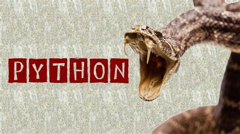 Python Snake Facts : Interesting Facts you should know | Snake Facts - YouTube