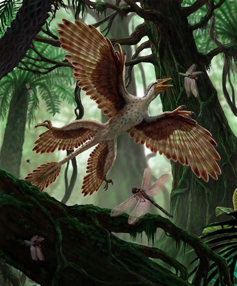 Paleoillustration — Microraptor by Franco Tempesta | Prehistoric ...