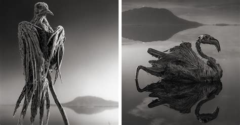 Lake Natron - The Eerie Lake in Africa That Turns Animals Into Stone