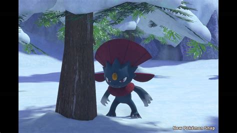 Weavile 1 by Corp91 on DeviantArt