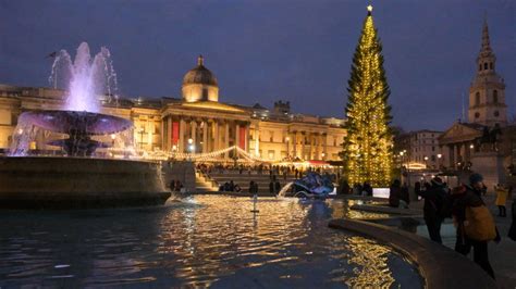 London's famous Trafalgar Square Christmas tree lit up - BBC Newsround