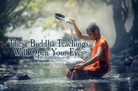 Buddha Teachings That Will Change Your Perspective on Life - Learning Mind