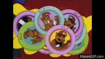 Pogs GIFs - Find & Share on GIPHY