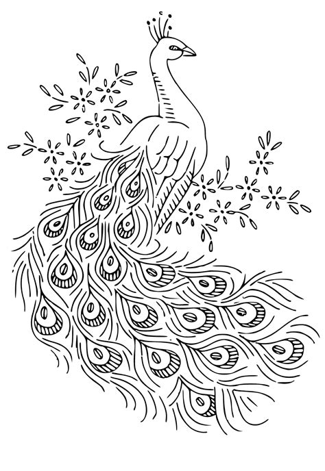 Free Printable Peacock Real Coloring Page for Adults and Kids - Lystok.com