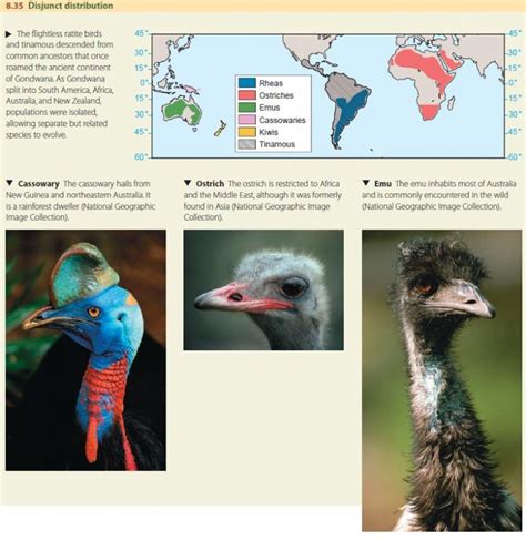 Historical Biogeography