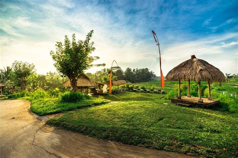 Beautiful nature at Desa Visesa Ubud, Bali | Ubud, Bali, Beautiful nature